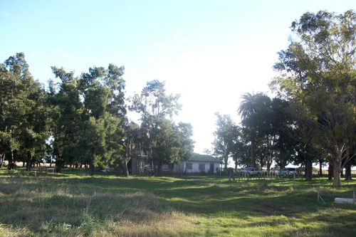 Imagen 20 de 30 de Campo En Venta En Arditti | Ruta 11-km.57 (110 Has)
