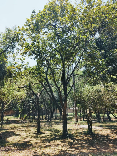 Lote De 5500 M2 - Espectacular Ubicación -