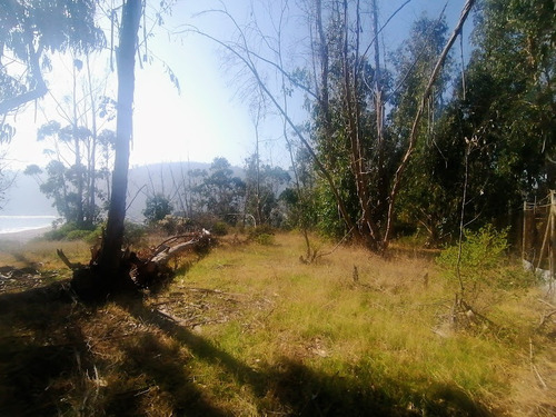 Terreno Urbanizado En Primera Línea Con Vista A La Playa.