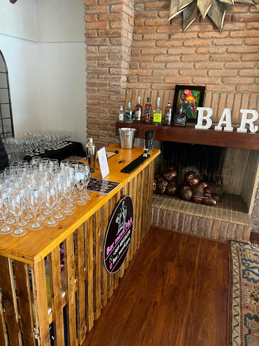 Bartender / Barra Libre A Domicilio