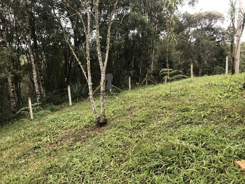 Imagem 7 de 9 de Chácara A Venda No Bairro Centro Em Bocaiúva Do Sul - Pr. - 504-1