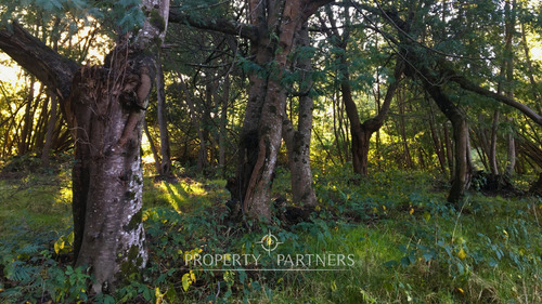 Terreno Con Orilla De Río Huenehue