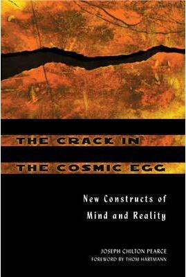 Libro The Crack In The Cosmic Egg : New Constructs Of Min...