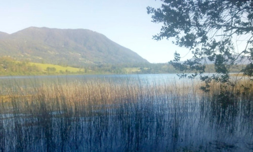 Sitio Orilla De Lago Panguipulli