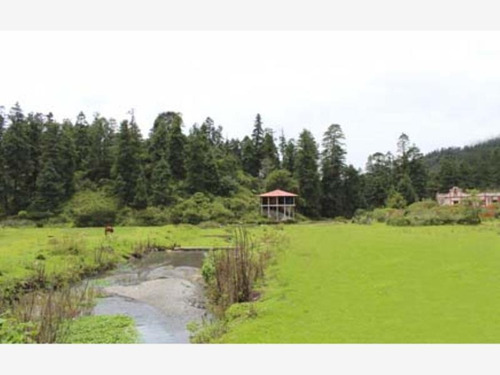 Imagen 3 de 11 de Terreno En Venta Aprovecha Esta Oportinidad, Lotes Para Cabaña Escriturados