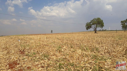 Imagem 29 de 30 de Chácaras_sítios_fazendas Para Venda - 13650.3266
