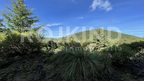 Imagen 21 de 27 de Terreno En Venta Salazar, Estado De México