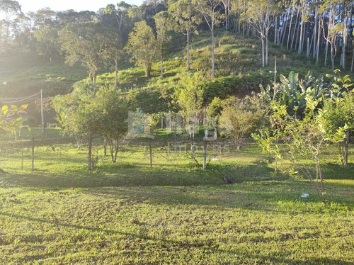 Imagem 3 de 5 de Terreno À Venda No Bairro Centro - Guabiruba/sc - 1889