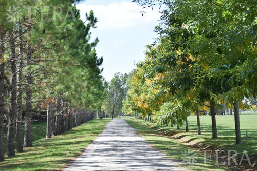 Venta De Terreno De 2500 M2 En Campos De Roca Ii