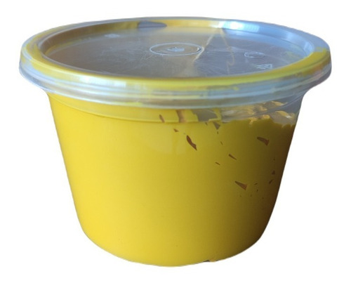 Imagen 2 de 9 de Pinturas Para Serigrafia Plastisol Amarillo Naranja 500gr