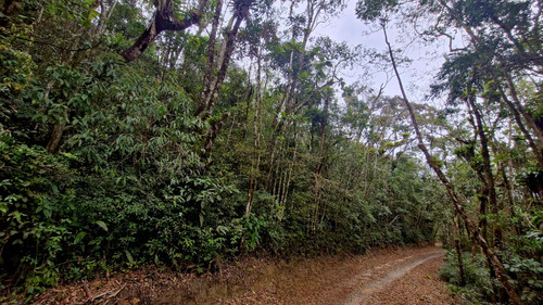 Terreno Tapiraí - Sp - Excelente Topografia Com Escritura