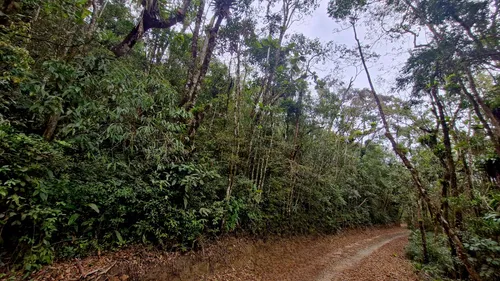 Terreno Tapiraí - Sp - Excelente Topografia Com Escritura