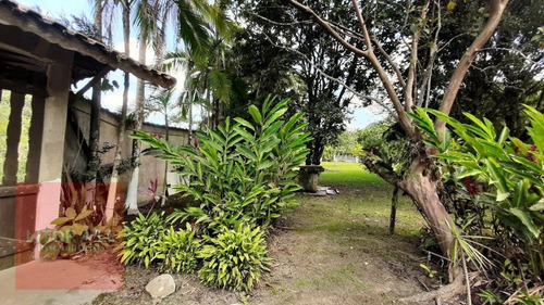 Imagem 25 de 30 de Chácara Com 4 Dormitórios À Venda, 9600 M² Por R$ 680.000,00 - Água Branca - Mongaguá/sp - Ch0046