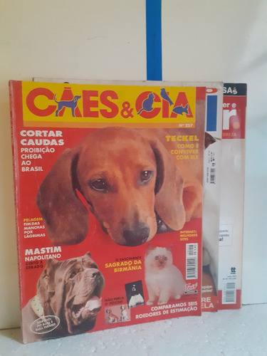 Revista Cães E Cia E Pit Bull E Conhecer Números Na Descrica (Usado)