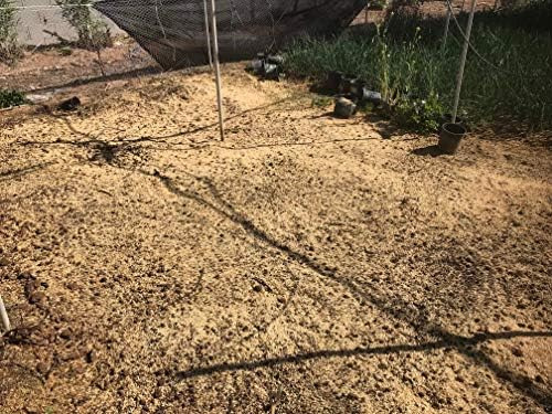 Cascos De Arroz - Uso Orgánico - 3 Libras - Plantas De Inter