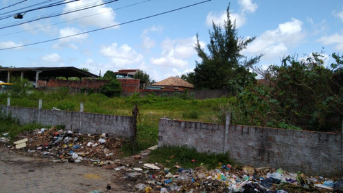 Imagem 3 de 4 de Terreno Para Venda - 008573