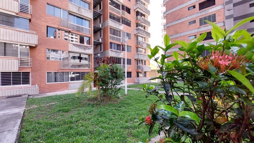 Imagen 2 de 10 de Apartamento En Vista Alegre