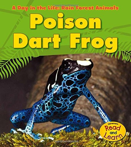 Poison Dart Frog (a Day In The Life Rain Forest Animals)