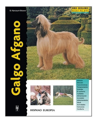 Libro Perros Raza Galgo Afgano Excellence B. Har B His Eur