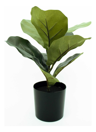 Planta Artificial Panduranta Mini De Color Verde, Decorativa