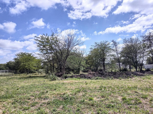 Imagen 4 de 4 de Terreno - Chacras Del Ocho