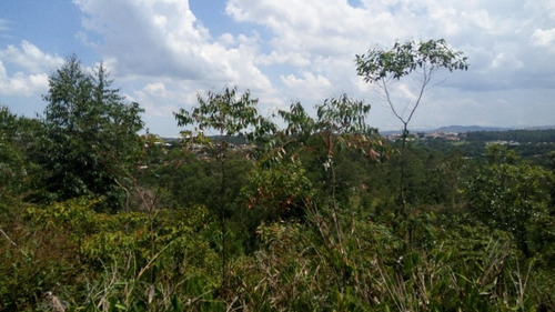 Imagem 24 de 30 de Terreno Botujuru Mogi Das Cruzes Sp Brasil - 87