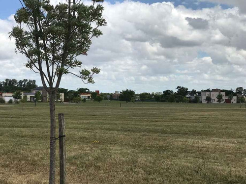 Imagen 6 de 6 de Lote En Venta El Mirador Club De Campo, Brandsen