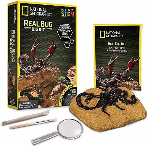 Kit De Excavación De Insectos Reales De National Geographic