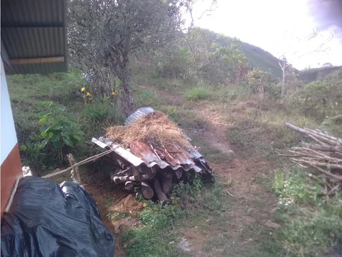 Se Vende Finca En Pijao Quindío