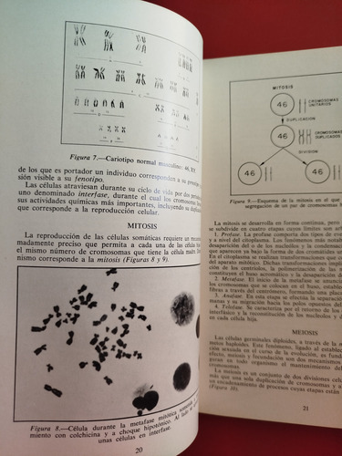 Genética Clínica - Simposio Syntex (Usado)