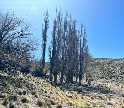 Campo En Venta De 635 Has Bariloche, Costa Del Pichileufu, Rio Negro.