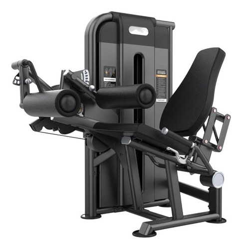 Aparato Dual Extension / Curl Peso Integrado Gimnasio Gym 