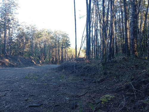 Venta Parcela Bosque Pucón Los Nevados