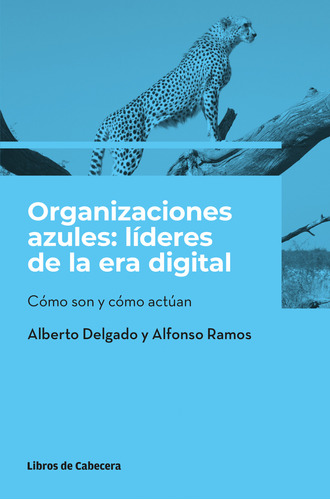 Organizaciones Azules: Lideres De La Era Digital Delgado, A