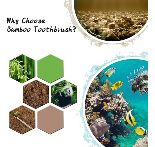 10 Cepillos De Dientes De Bambu Con Cerdas Suaves