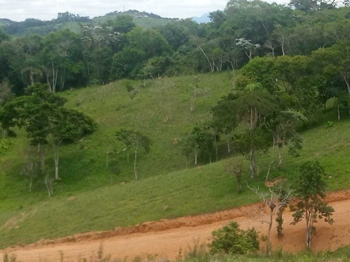 Imagem 7 de 8 de #v# J11- Seu Lote Com Vista Pro Lago