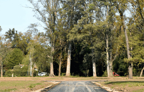 Loteo En Barrio Parque El Remanso - Barrio Los Jazmines - Pilar, Del Viso