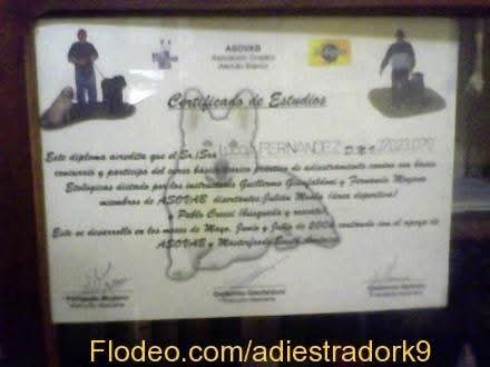 Adiestrador Canino Zona Sur