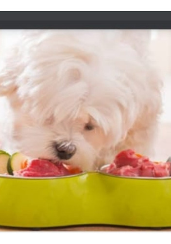 Imagen 2 de 8 de Alimento Barf Natural Para Mascotas 978548738 Santa Anita