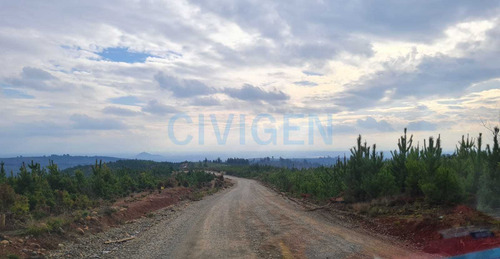 Tranquila Parcela 0,5ha Tranquilidad (92297)