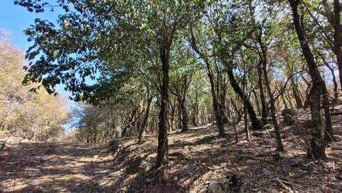 Venta De Terreno Campo En Las Sierras De Cordoba Unquillo Argentina