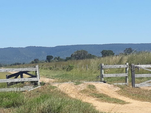 Imagem 14 de 28 de Fazenda À Venda, 3.106 Ha Por R$ 30.000.000 - Zona Rural - Cocalinho/mt - Fa0002
