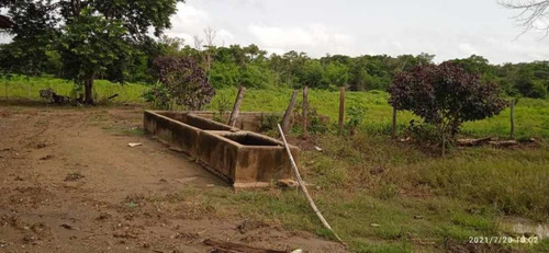 Imagen 14 de 28 de Finca En Venta Guarico