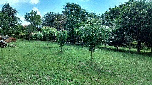 Imagem 6 de 16 de Chácara Com 3 Dorms, Zona Rural, Tambaú - R$ 550.000,00, 8.400m² - Codigo: 10131469 - V10131469