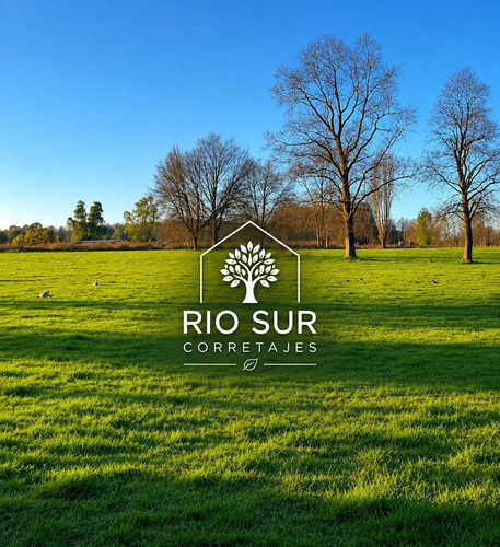 Campos 5 Ha Trapi Rio Bueno