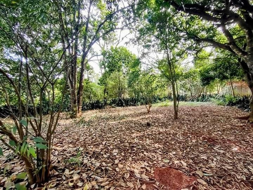 Imagem 6 de 25 de Chácara 3000m2, Casa Sede Com 3 Dormitórios Sendo 1 Suíte, Piso Em Porcelanato, Piscina, Quarto De Ferramentas - Ch00174 - 70327373