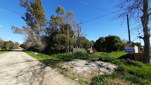 Imagen 2 de 4 de Lote En Veronica, 12x60