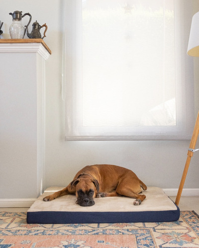 Cama Colchoneta Para Perros Lola Pets Modelo Alaska Grande