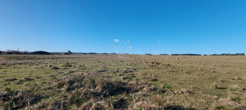 Imagen 6 de 28 de Venta Campo Ideal Para Fraccionar En Chacras Codigo 6003 - Las Garzas