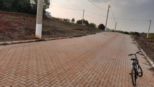 Imagem 2 de 2 de Terreno Em Mato Leitão, Bem Localizado, Alto, Plano, Limpo,